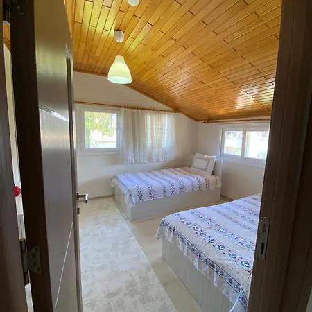 Nisa 3 * 费特希耶